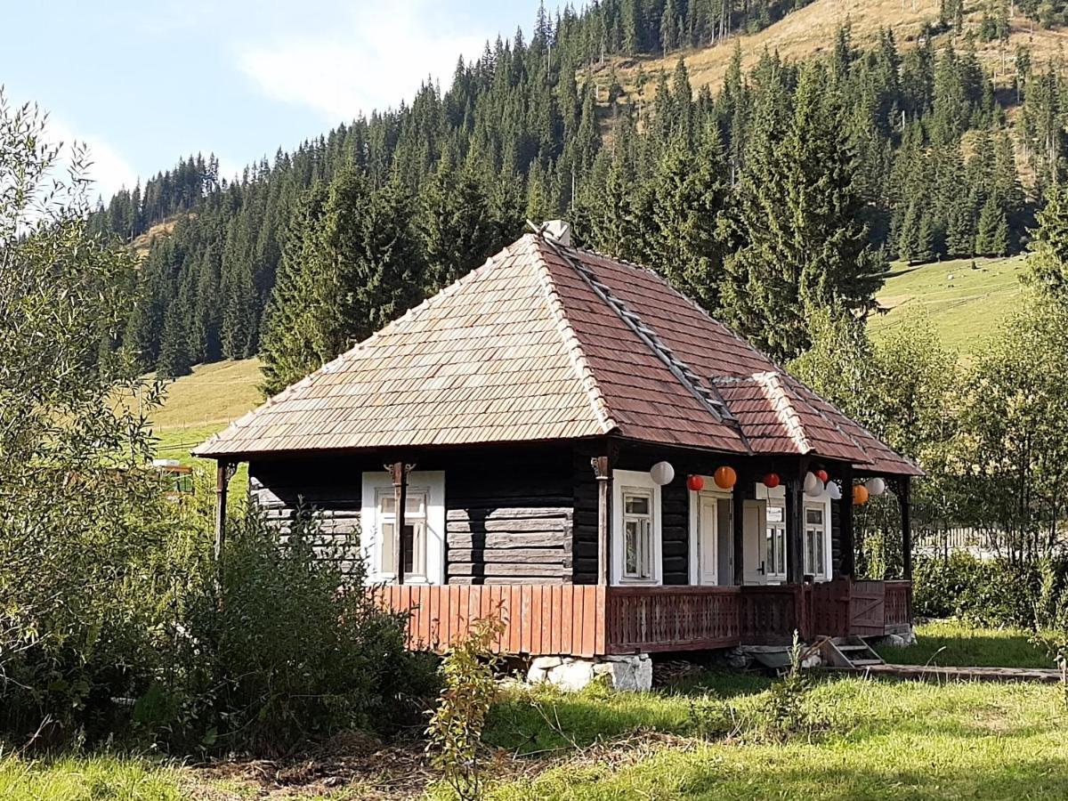 Hotel La Malu' Bistritei - Casutele Valea Stanii Zewnętrze zdjęcie